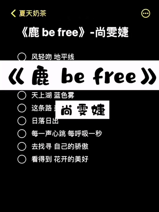 抖音热曲揭秘，探寻却又像风捉摸不住的旋律之源