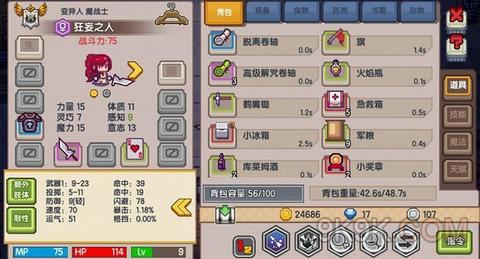 伊洛纳如何提升装备等级，全面攻略与价值最大化