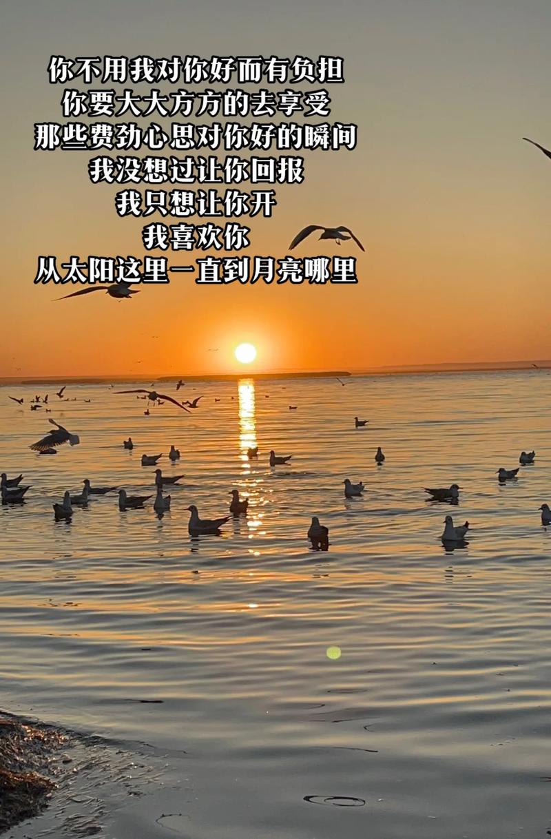 抖音莫名我就喜欢你，深深的爱上你是什么歌，资源管理视角下的深度解析