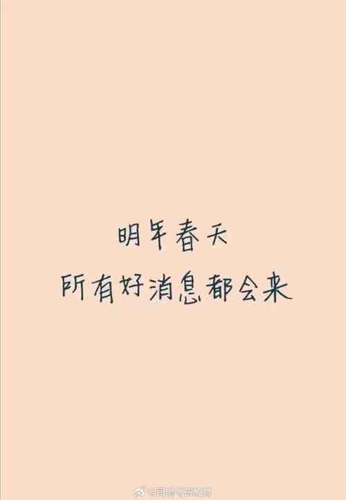 曾经以为2020年很遥远，发现还有四个月就到了壁纸在资源管理中的重要性及高效利用策略