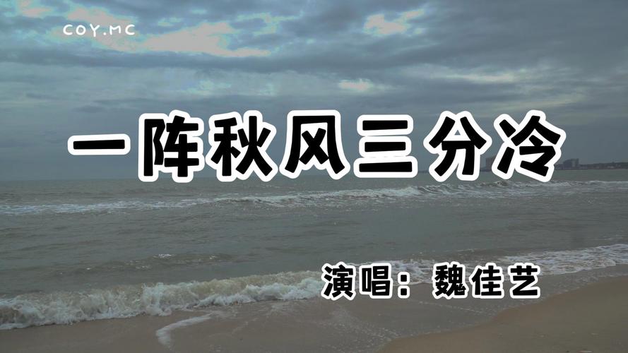 抖音热门BGM揭秘，那首冷风轻轻吹到悄然进了我衣襟的歌