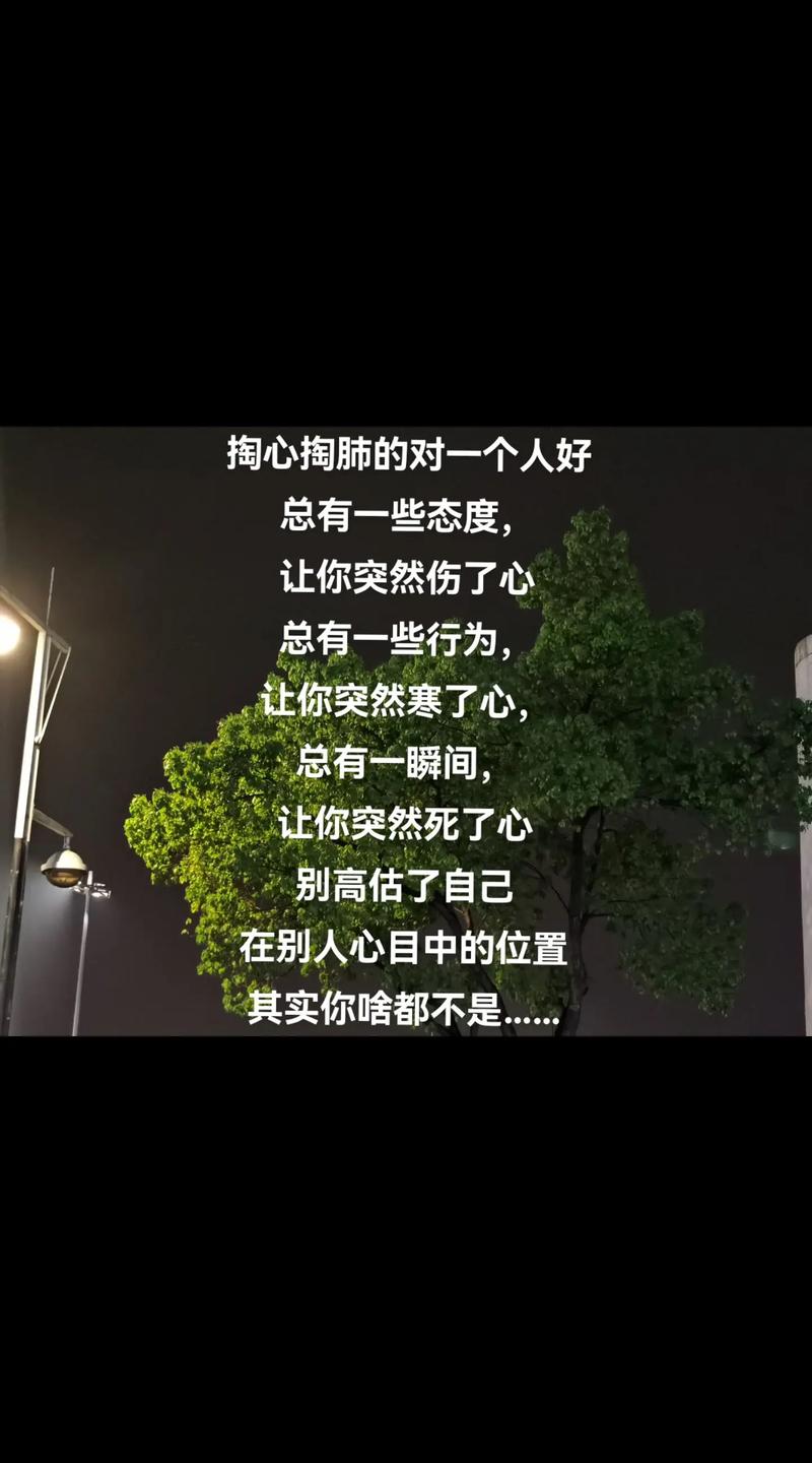 抖音热门旋律揭秘，爱的就是你，形影不离