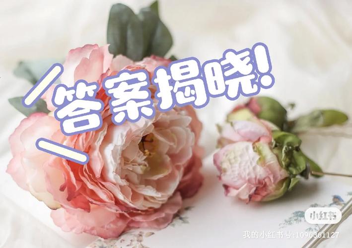 QQ飞车9月9日每日一题揭秘，答案揭晓，惊喜连连！