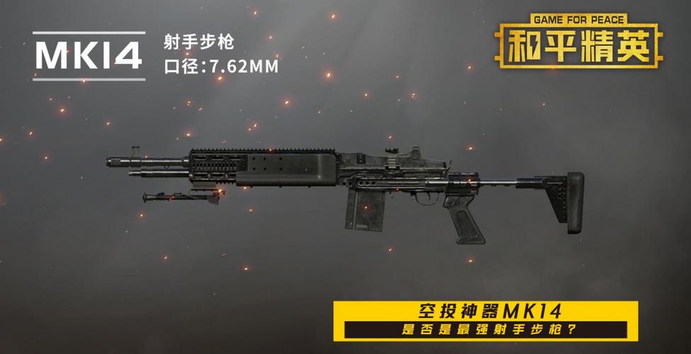 和平精英团队竞技，枪械搭配的艺术与策略