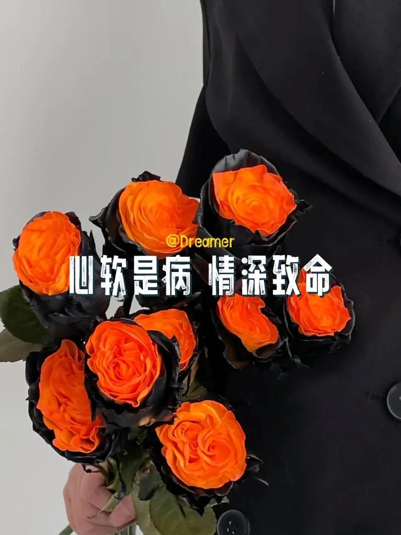 心软不是病，回头才致命，图片资源管理的艺术