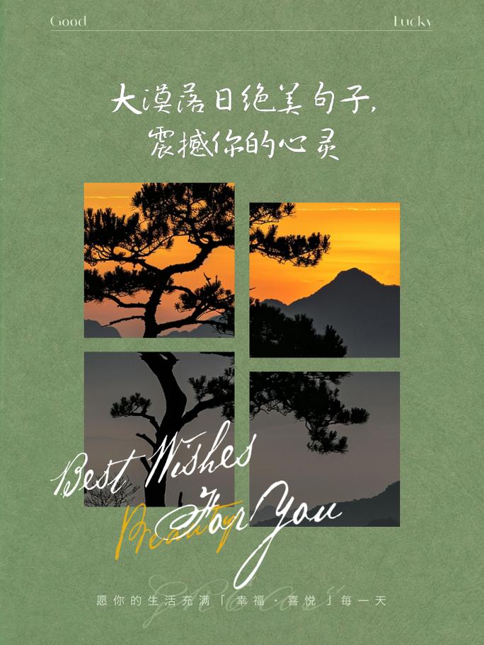 探寻人间理想之境，那些触动心灵的绝美瞬间