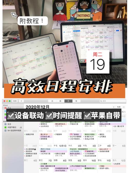 绿洲APP邀请码怎么填，资源管理、高效利用与避免浪费