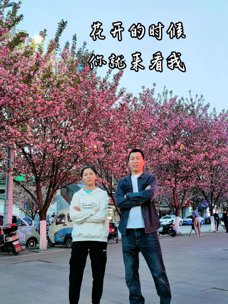 抖音花开的时候你就来看我是什么歌，在资源管理中的独特价值与实践策略