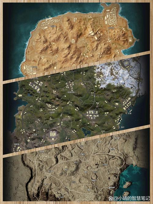 和平精英遗迹地图怎么打，资源管理视角下的战术解析