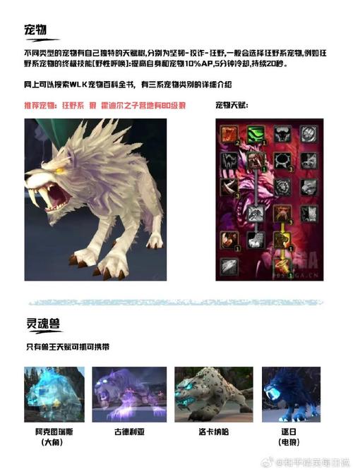 魔兽世界怀旧服服务器选择哪个好，资源管理的重要性与策略