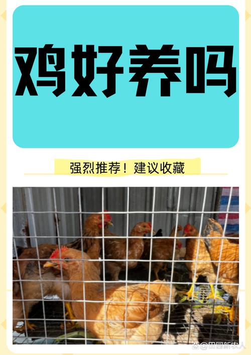 小鸡宝宝今天走了1500步，可以在运动里进行捐赠吗？在资源管理中的重要性及优化策略