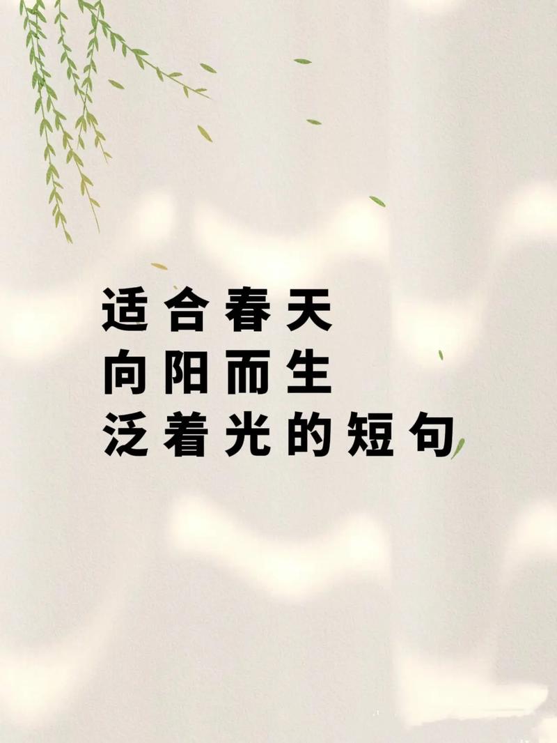 抖音热曲探秘，春风吹在资源管理中的启示与实践