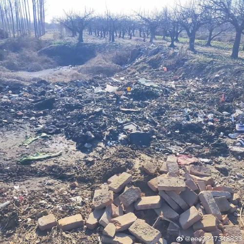 东北农村大坑乱肉一坑四女事件：揭秘背后真相与村民生活现状