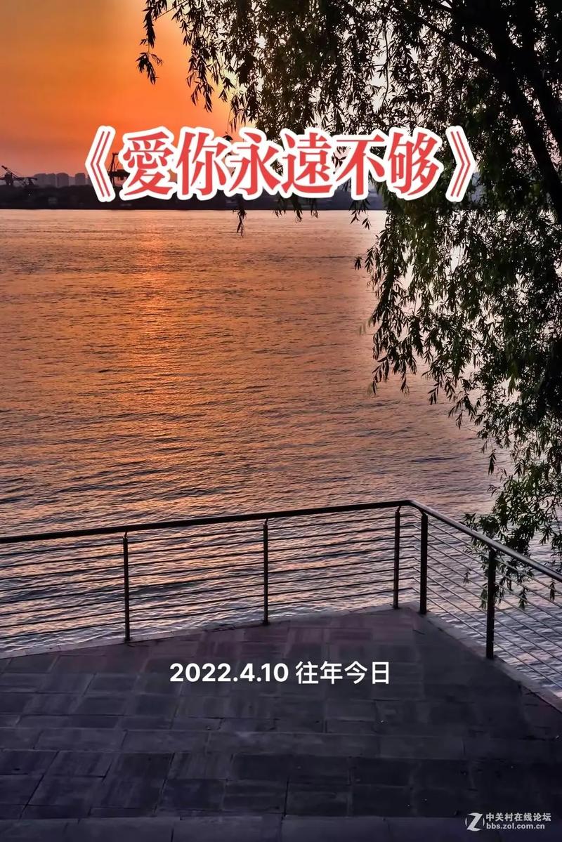 抖音热曲揭秘，若能选择，是否愿忘却每段过往？