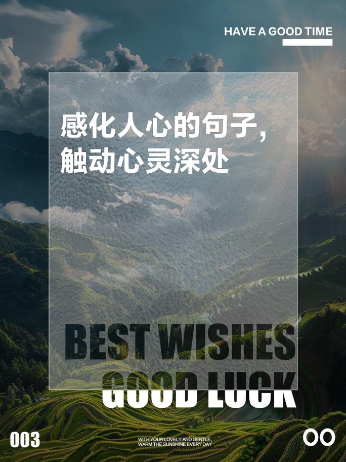 是什么挡住了我的脚步，探寻那首触动心灵的歌