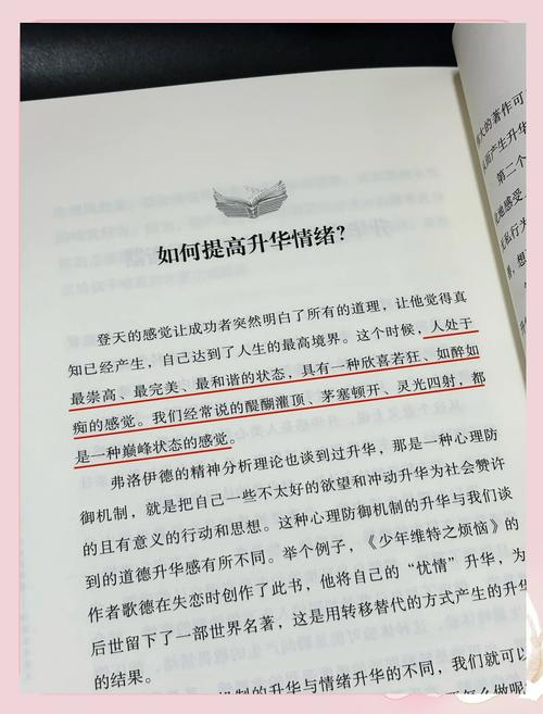 第二十三小莹的放纵欲视频曝光：深度解析其背后的情感与心理动因