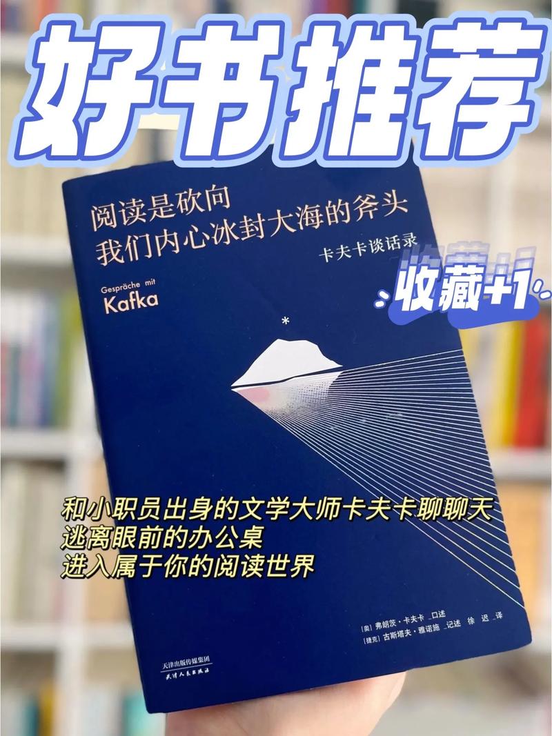 抖音我算是一个阅读爱情的学生是什么歌，在资源管理中的隐喻与策略