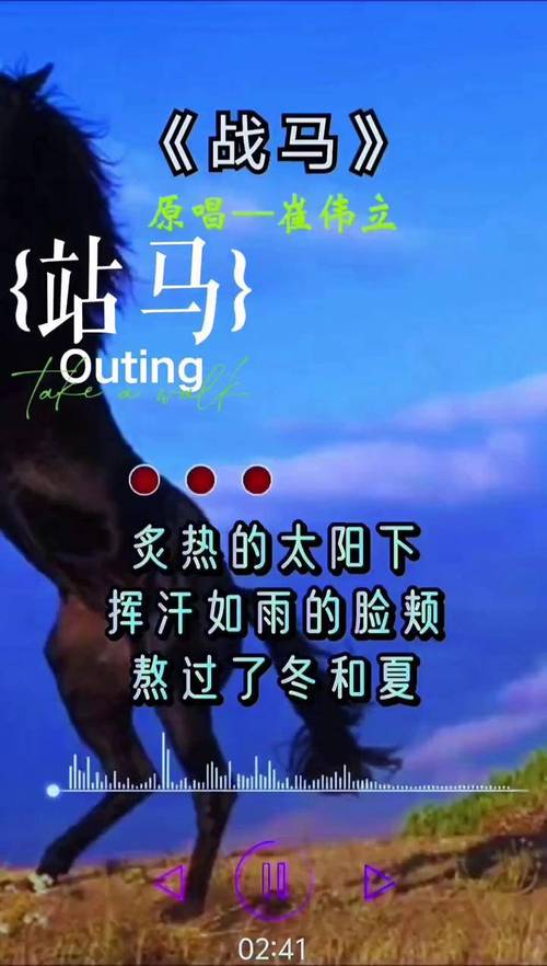 抖音热门金曲揭秘，单枪匹马与世界对饮的壮志豪情