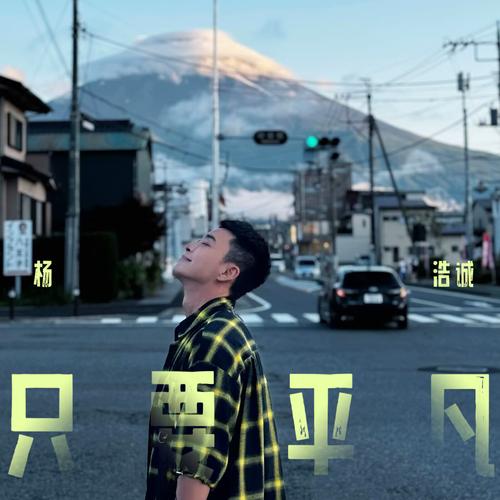 抖音热门歌曲探索，生命漫长而短暂的旋律之谜——以只要平凡为例