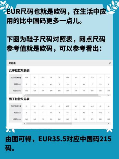 欧亚尺码专线b1b：如何选择适合的尺码并提升购物体验？
