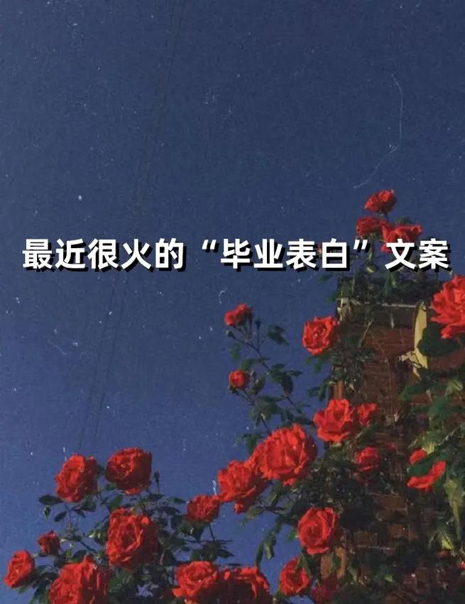 下一站我的大学，青春终章，梦想启航