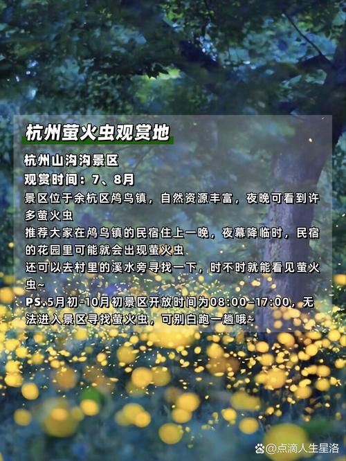 抖音热门旋律揭秘，夏夜萤火下的追光者