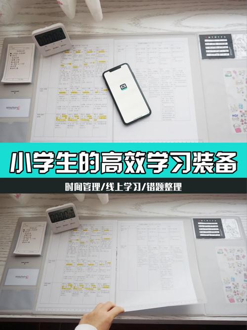 DNF8月26日每日一题答案分享，资源管理、高效利用与价值最大化