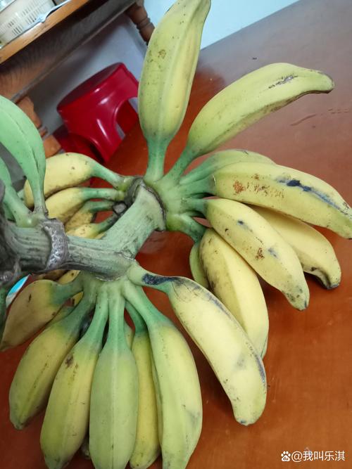 黡色香蕉视频：揭秘罕见水果的独特魅力与健康益处，完整视频在线观看