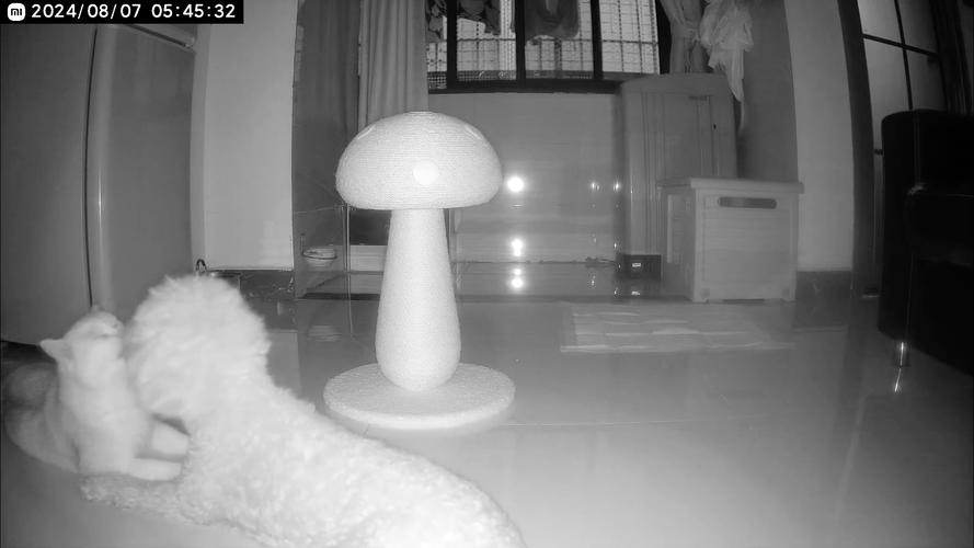 富姐按摩体验失控：男技师意外引发高潮，关门后发生不可描述的一幕