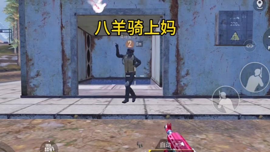 和平精英巨型兔子在哪里，资源管理中的关键要素与策略