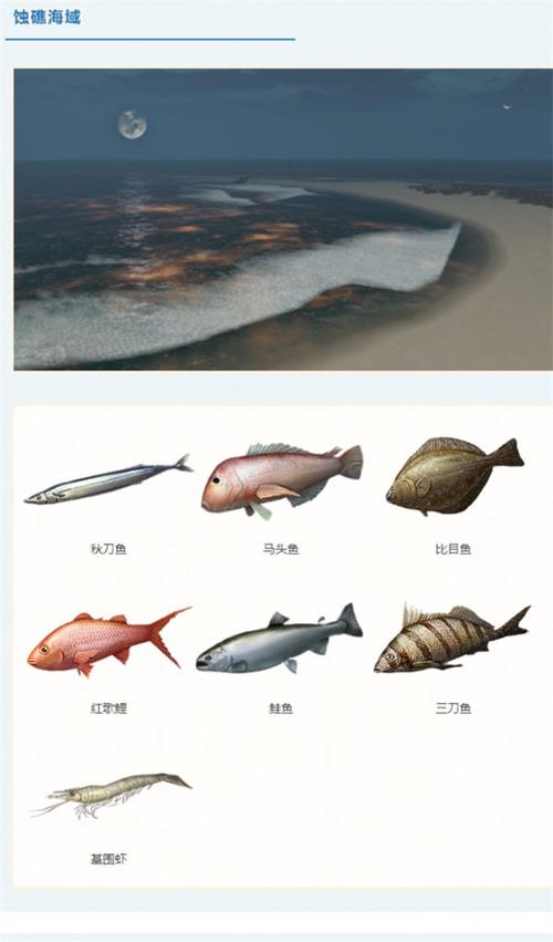 明日之后金枪鱼获取秘籍，解锁海洋美食的钥匙