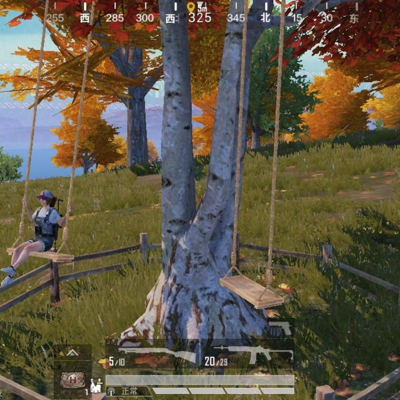 和平精英荡秋千在哪里，资源管理中的关键要素与高效利用策略