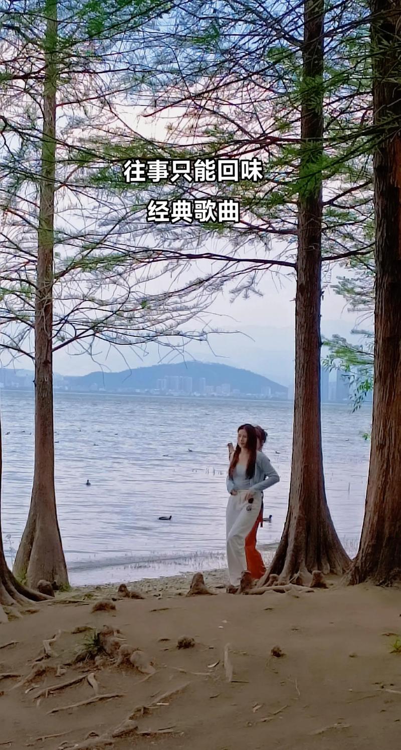 抖音热门旋律揭秘，你就是那么的纯净出自哪首歌？