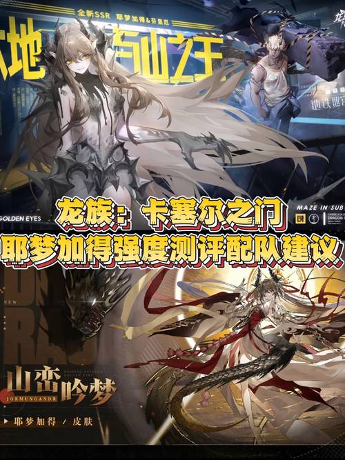 龙族幻想双生职业深度解析，掌握时空之力的法辅大师