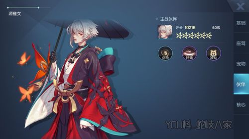 龙族幻想村雨5V5天梯阵容搭配策略