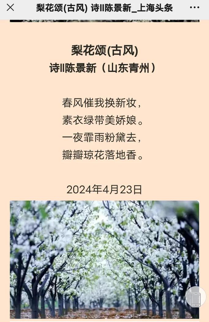 抖音误了梨花花又开什么歌，在资源管理中的奥秘与价值