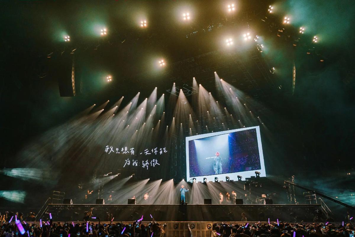 抖音想带你去看一场演唱会是哪首歌，在资源管理中的独特价值与实践