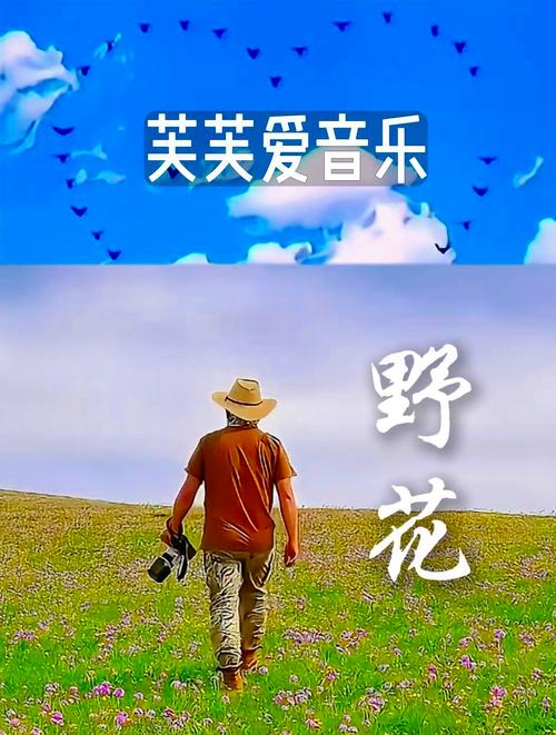 野花视频免费观看在线播放1：高清流畅体验，随时随地享受精彩内容