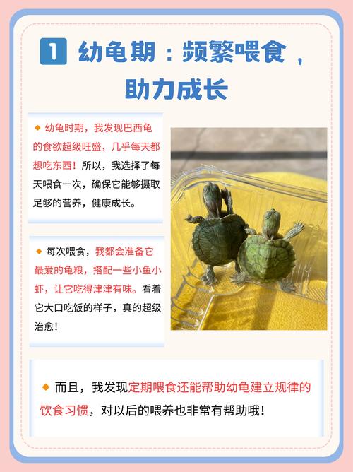 解锁萌趣新速度，揭秘龟龟车获取秘籍