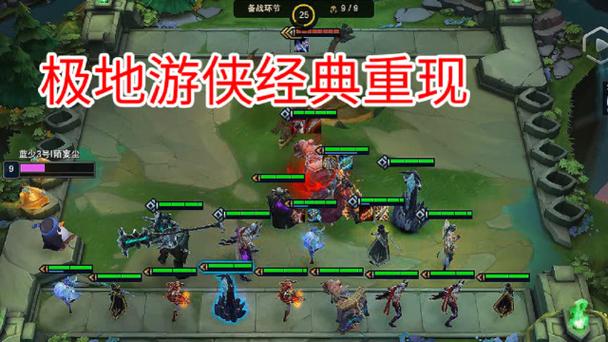 云顶之弈暗影游侠流，策略与技巧的深度剖析