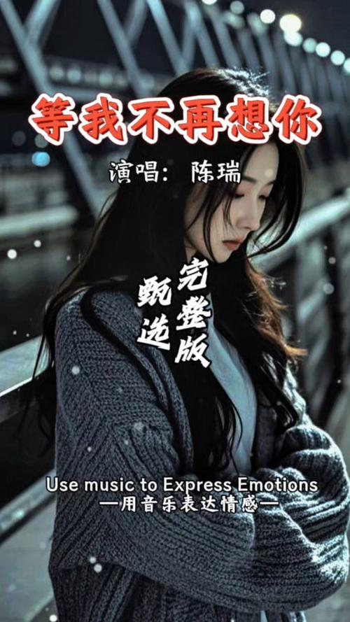 抖音终于可以不再想你了什么歌，资源管理的新视角