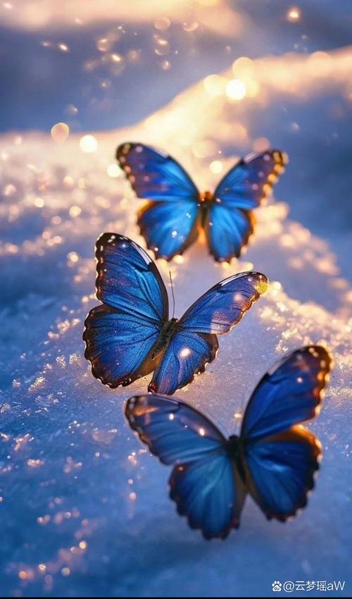 抖音每只蝴蝶为了飞，为了翩翩起舞背后的资源管理艺术