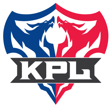 荣耀天梯，揭秘每支战队人数上限的奥秘