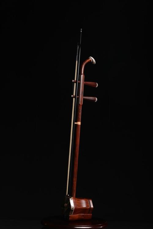 小鸡宝宝考考你，揭秘传统乐器二胡的弦数之谜