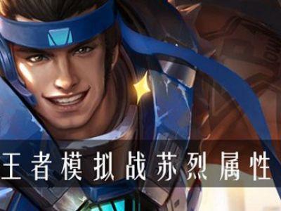 王者模拟战苏烈怎么玩，资源管理、技巧与最大化价值