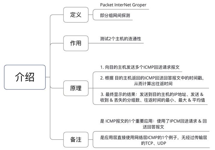 王牌战士怎么用电脑玩，资源管理、高效技巧与避免浪费的全面指南
