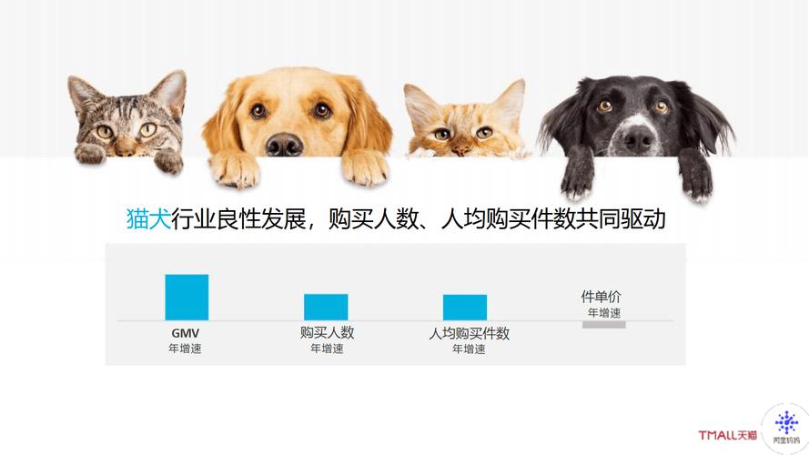 宠物小队大揭秘，同时上阵的宠物数量与策略