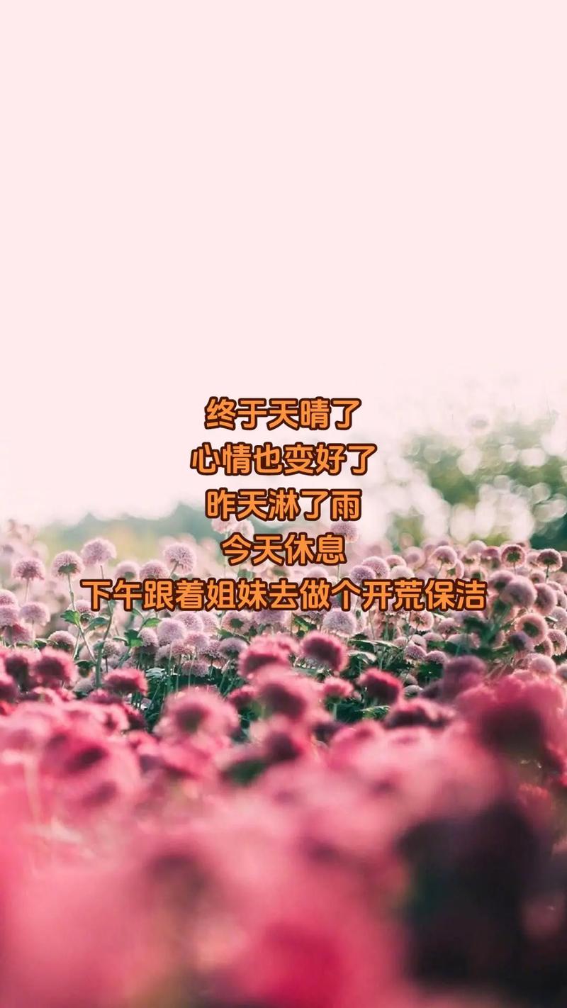 抖音热门BGM揭秘，时间突然变得好安静，是哪首歌在耳边轻响？