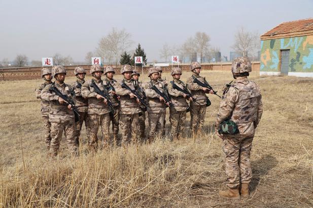 量子特攻，揭秘警卫兵图鉴，解锁战场新姿势