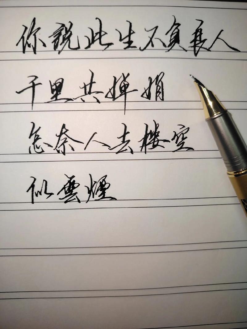 你说此生不负良人千里共婵娟是什么歌，深入解析与资源管理应用